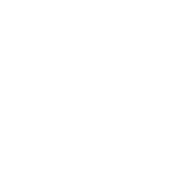 Outlaw Detailing logo